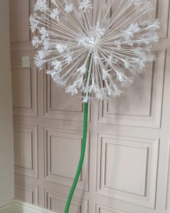 Dandelion