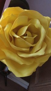 IMG-20240310-WA0031