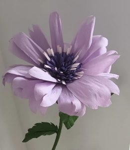 Cornflower